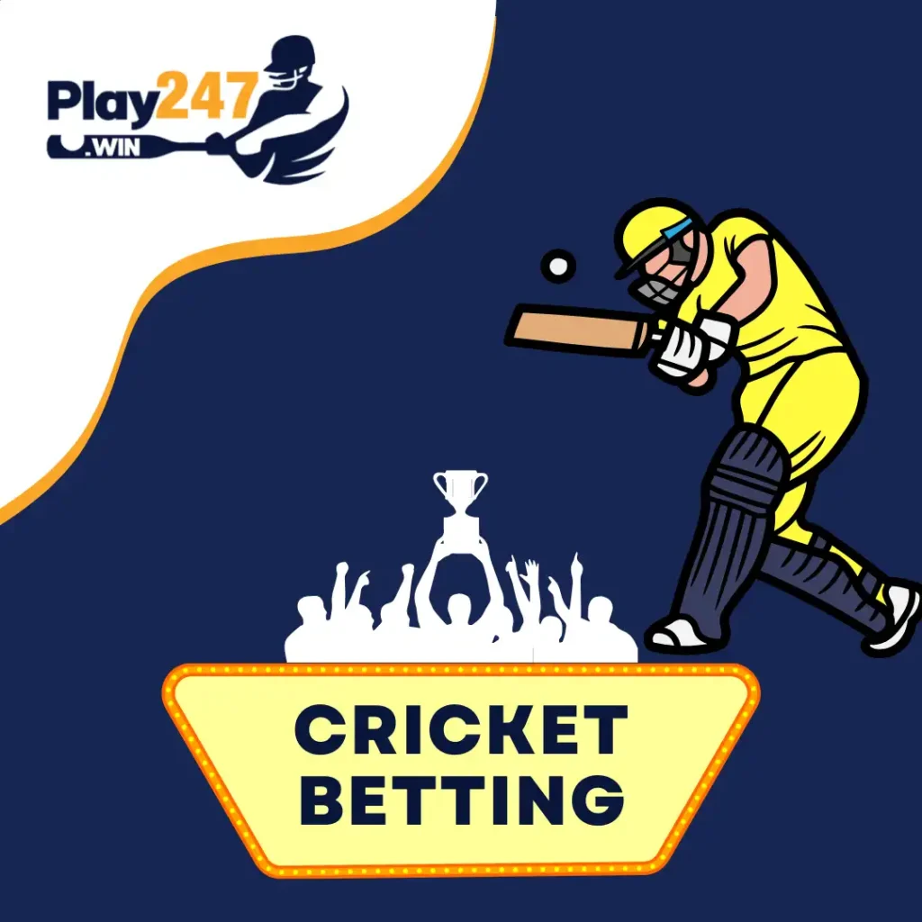 cricket betting at play247